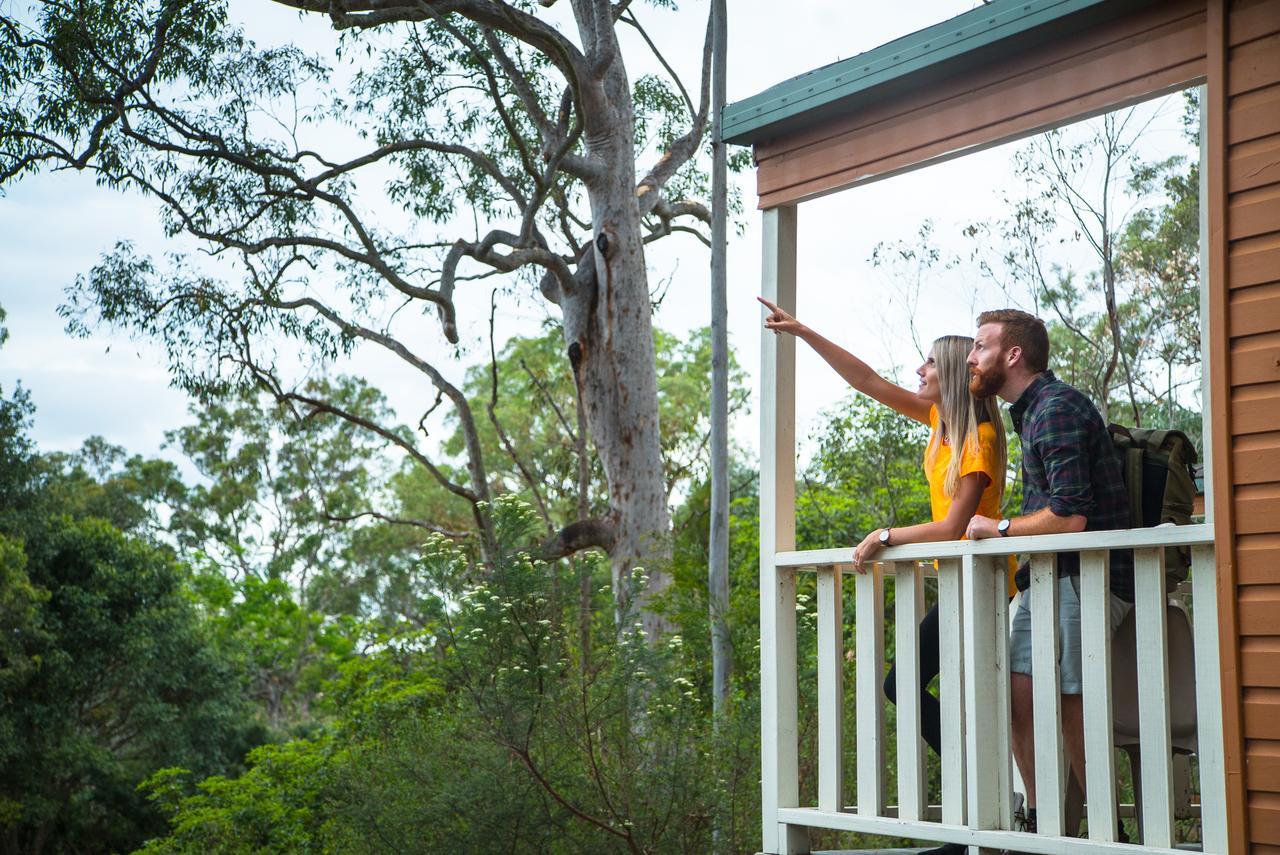 Discovery Parks - Lane Cove シドニー エクステリア 写真