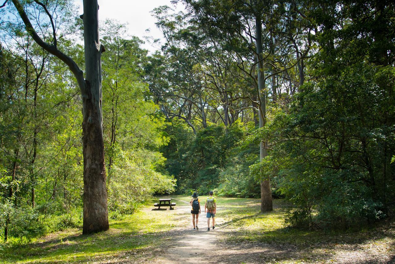 Discovery Parks - Lane Cove シドニー エクステリア 写真